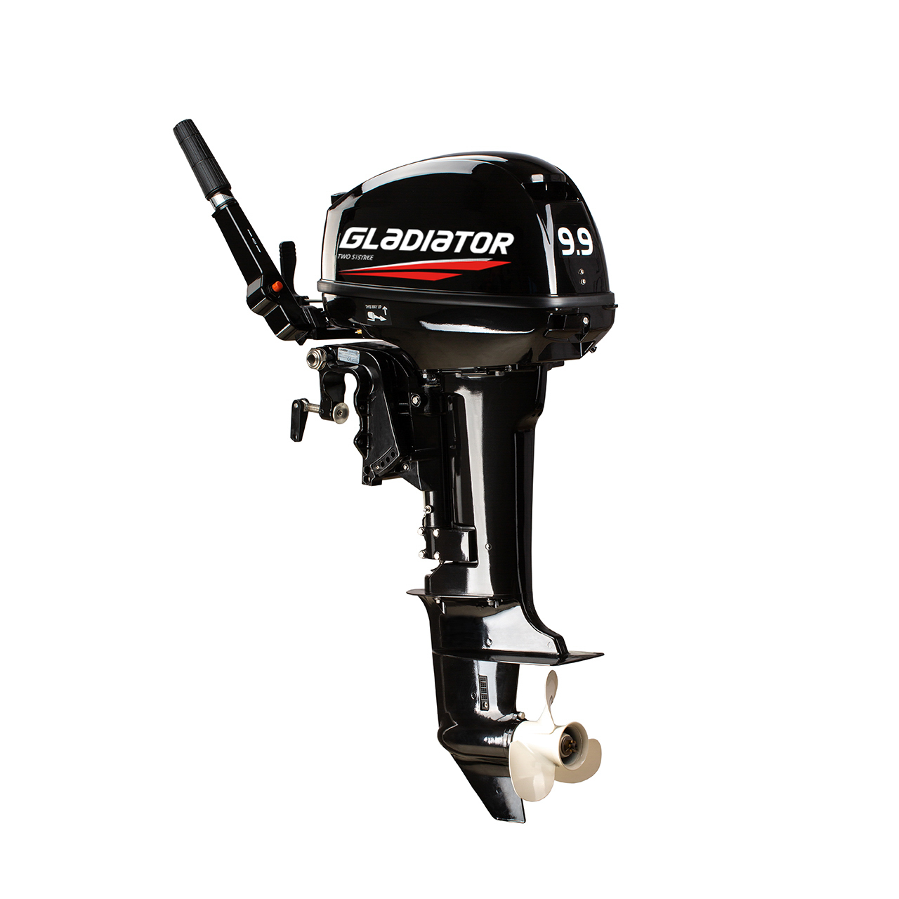 ЛОДОЧНЫЙ МОТОР GLADIATOR G9.9FHS в Новочеркасске