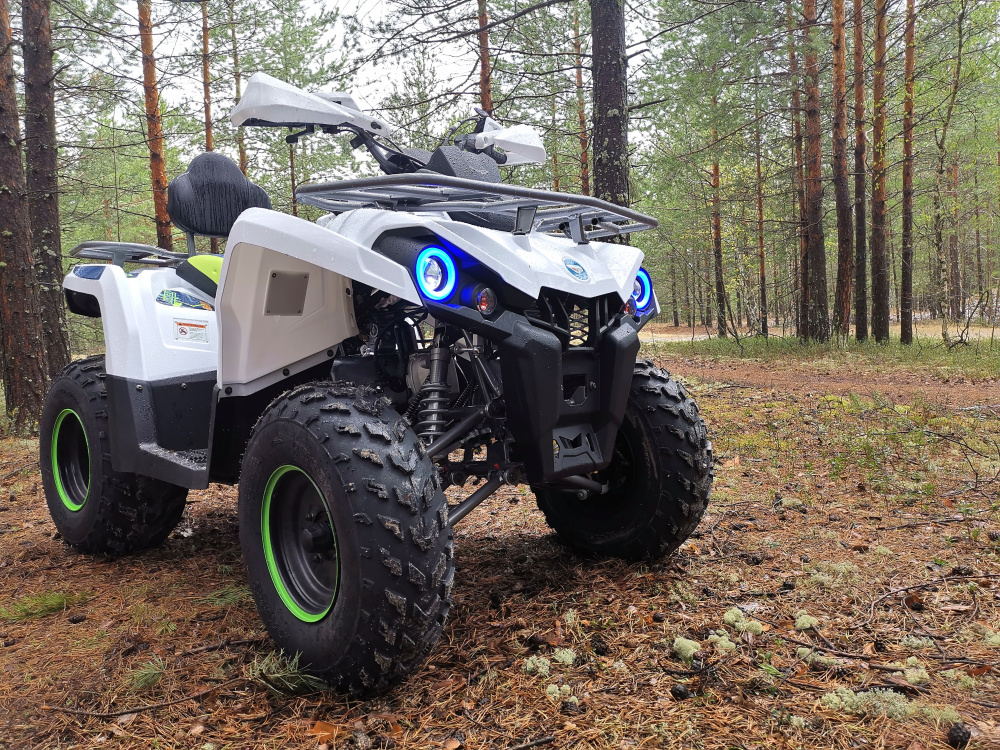 Квадроцикл PROMAX RENEGADE 280 (2025) в Новочеркасске