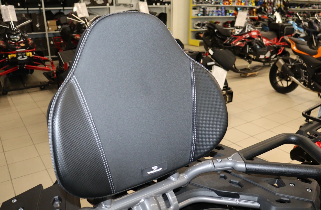 Квадроцикл PROMAX RENEGADE 300 LONG WINCH PRO (2025) в Новочеркасске