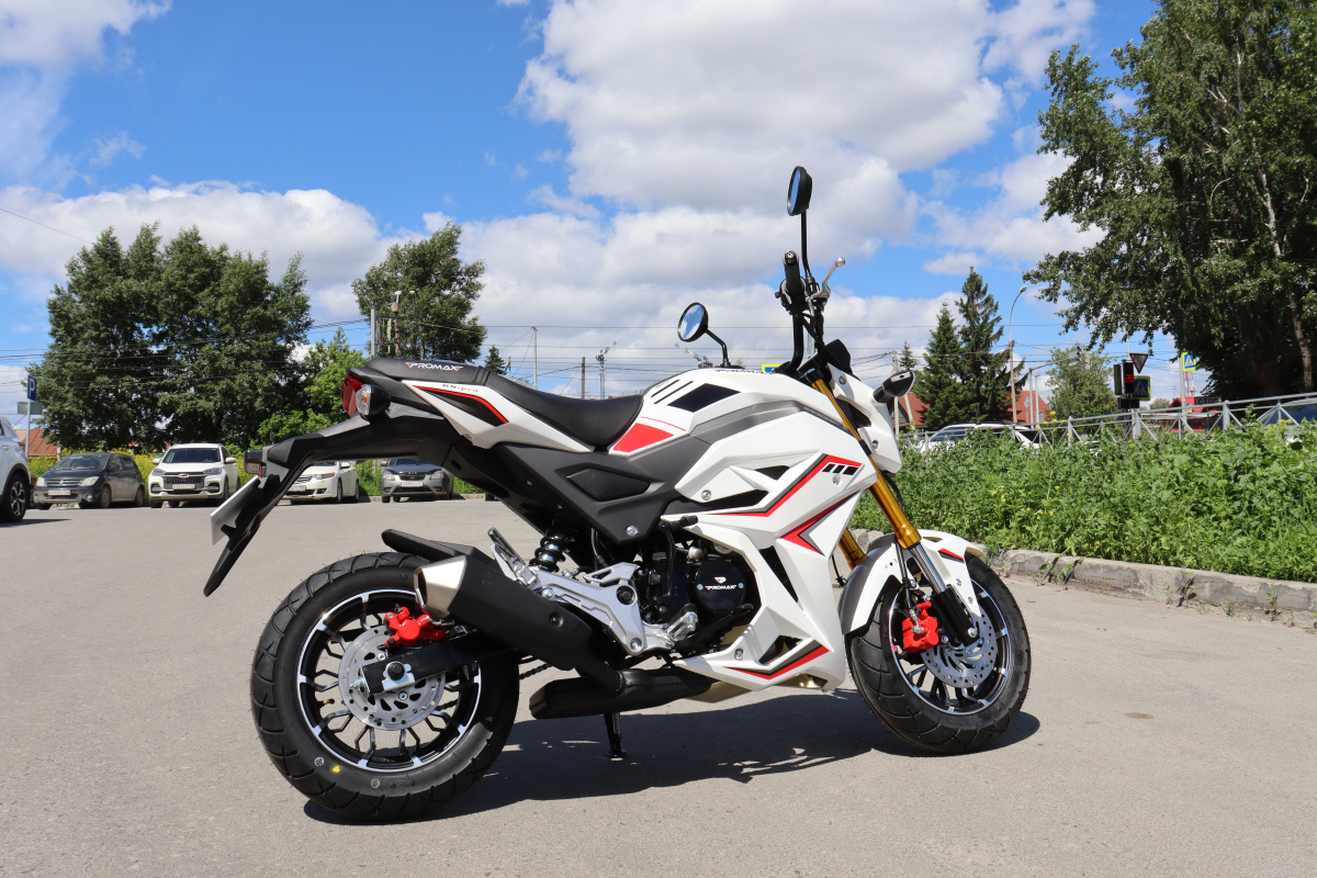 Мотоцикл PROMAX STRYKER 200(49) 2.0 в Новочеркасске