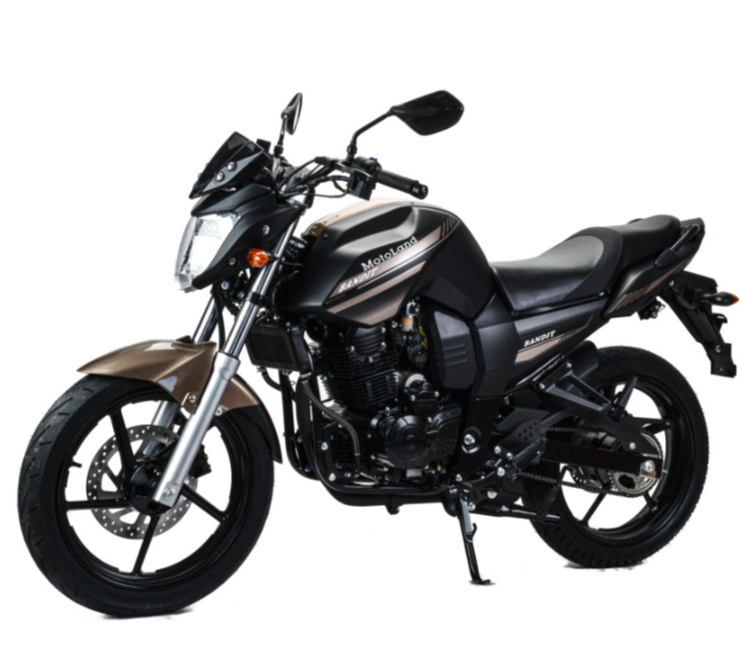 Мотоцикл MOTOLAND (МОТОЛЕНД) 300 BANDIT в Новочеркасске