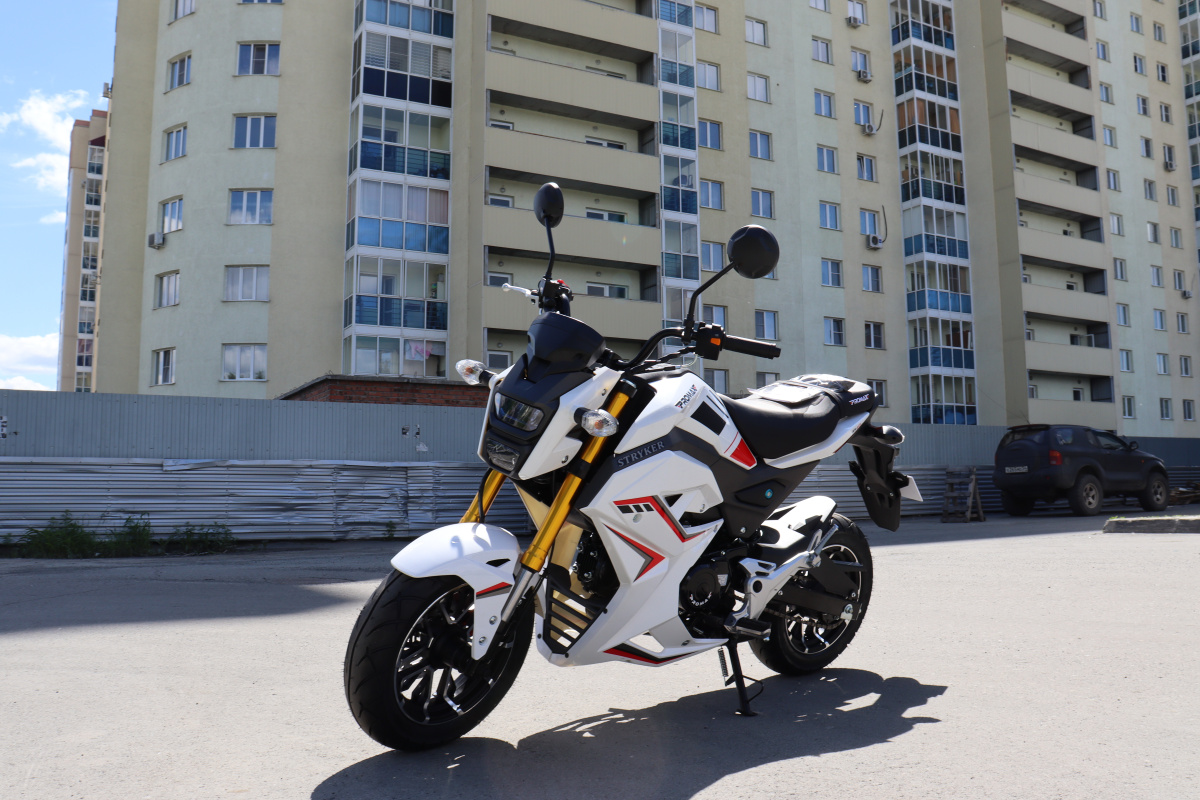 Мотоцикл PROMAX STRYKER 200(49) 2.0 в Новочеркасске