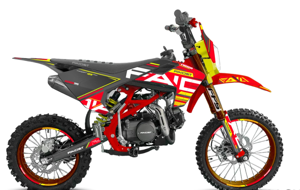 Питбайк FAIDET KAYOT 150E-PRO 19/16 в Новочеркасске