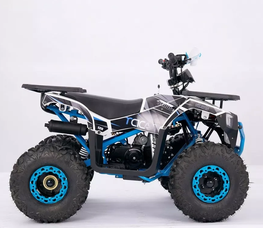 Квадроцикл YACOTA SIRIUS 110 в Новочеркасске