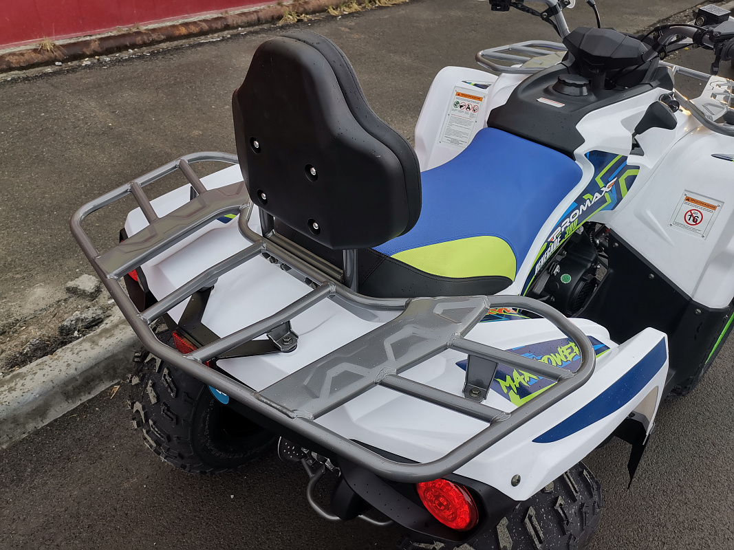 Квадроцикл PROMAX RENEGADE 280 LUX (2025) в Новочеркасске