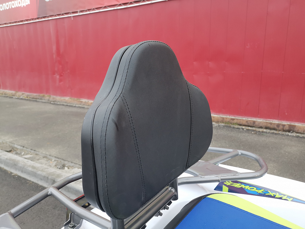 Квадроцикл PROMAX RENEGADE 280 LUX (2025) в Новочеркасске