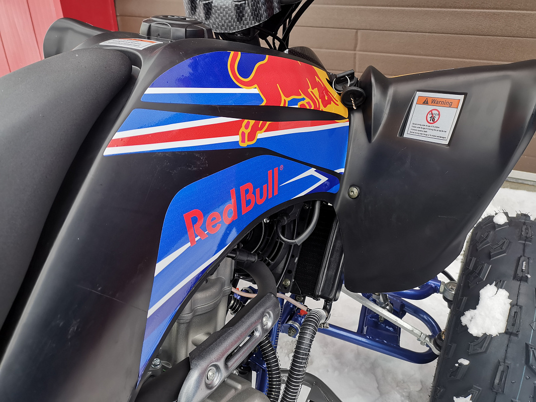 Квадроцикл PROMAX RAPTOR 300 NEW RedBull в Новочеркасске