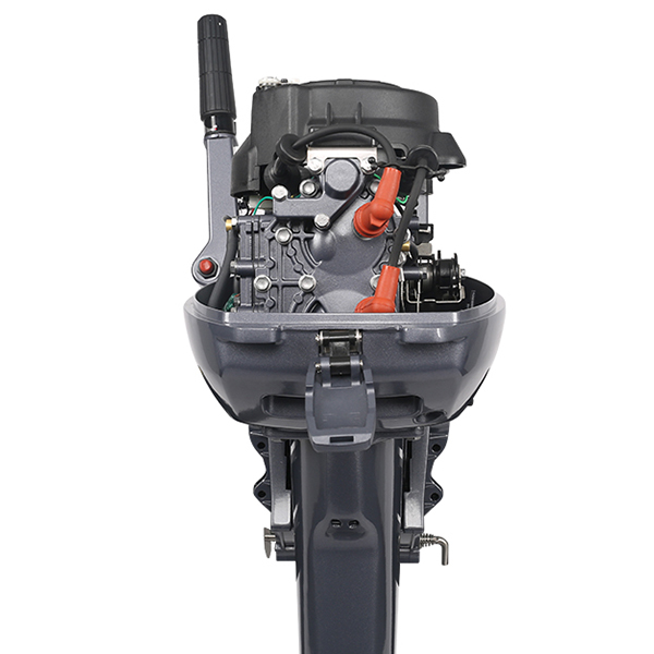 ЛОДОЧНЫЙ МОТОР ALLFA CG Т9,9 Limit в Новочеркасске