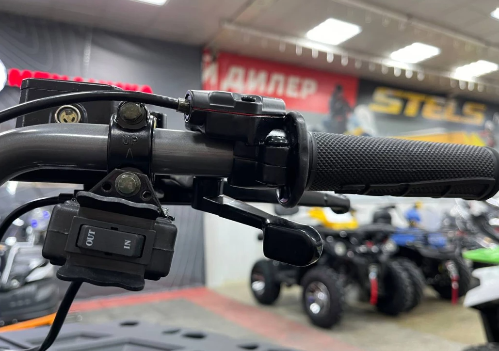 Квадроцикл PROMAX RENEGADE 300 LONG WINCH PRO (2025) в Новочеркасске