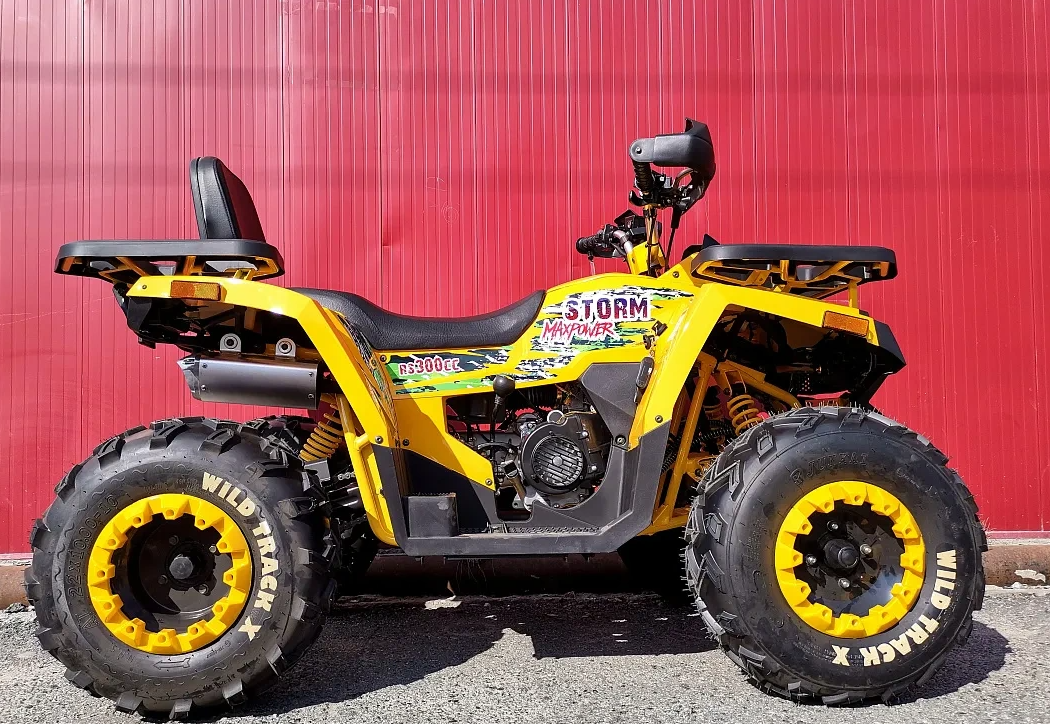 Квадроцикл PROMAX STORM 280 LUX в Новочеркасске