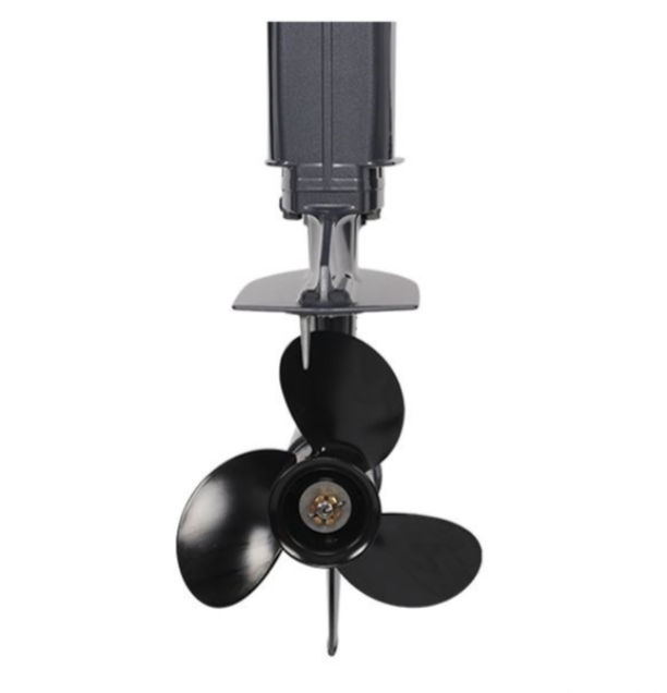 Лодочный мотор ALLFA CG Т40FW S в Новочеркасске