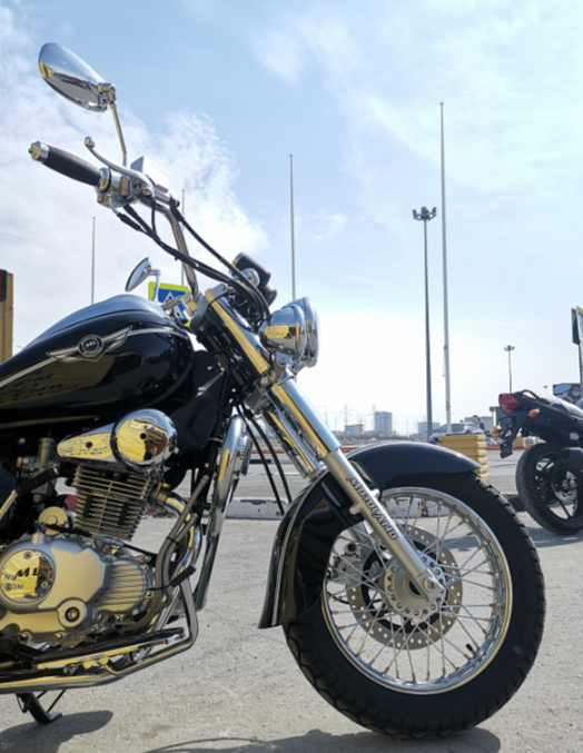 Мотоцикл MOTOLAND (МОТОЛЕНД) WOLF 250 в Новочеркасске