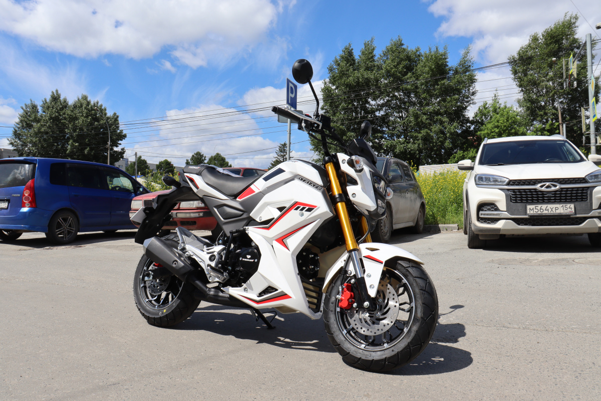 Мотоцикл PROMAX STRYKER 200(49) 2.0 в Новочеркасске