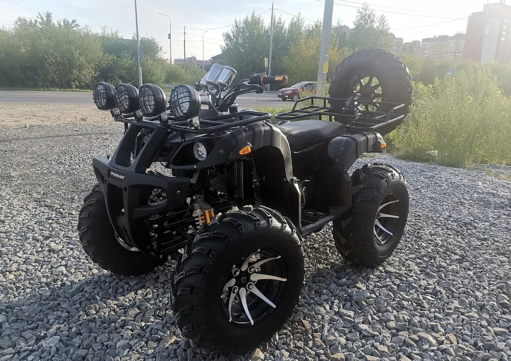 Квадроцикл PROMAX LEO 300 Max (кардан) в Новочеркасске