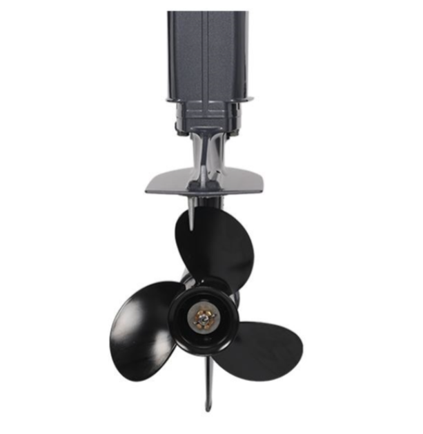 Лодочный мотор ALLFA CG Т40FWT S в Новочеркасске