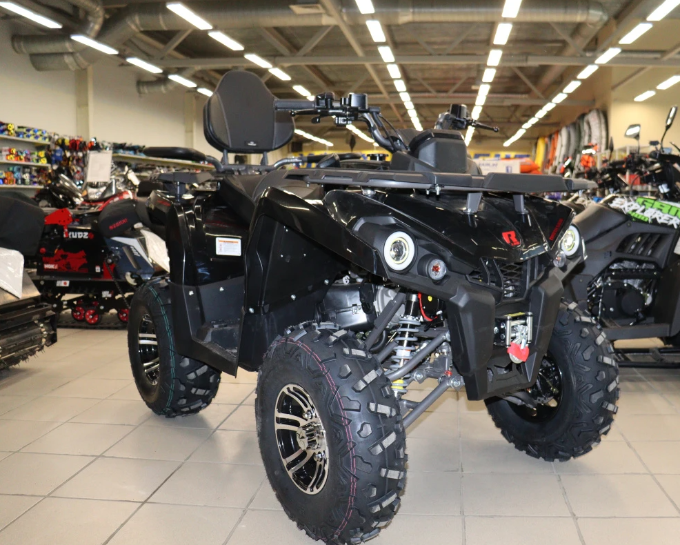 Квадроцикл PROMAX RENEGADE 300 LONG WINCH PRO (2025) в Новочеркасске