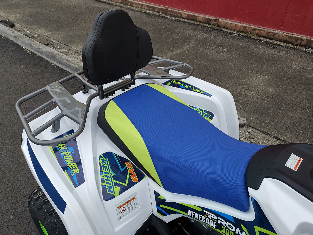 Квадроцикл PROMAX RENEGADE 280 LUX (2025) в Новочеркасске
