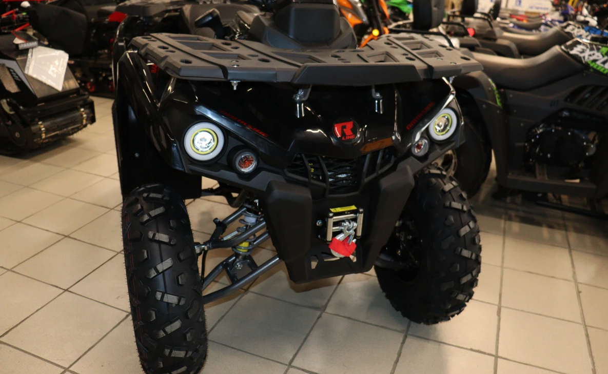 Квадроцикл PROMAX RENEGADE 300 LONG WINCH PRO (2025) в Новочеркасске