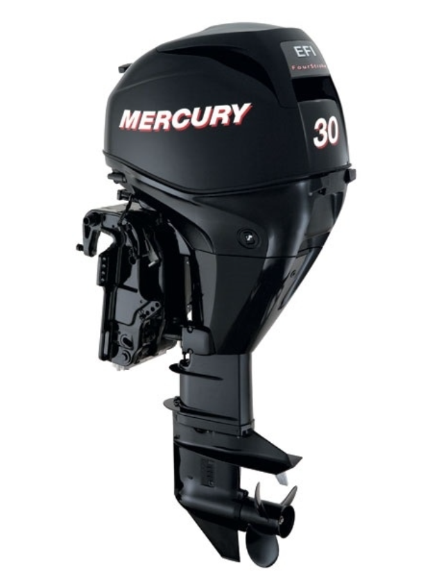 ЛОДОЧНЫЙ МОТОР MERCURY  F 30 ELH GA EFI в Новочеркасске