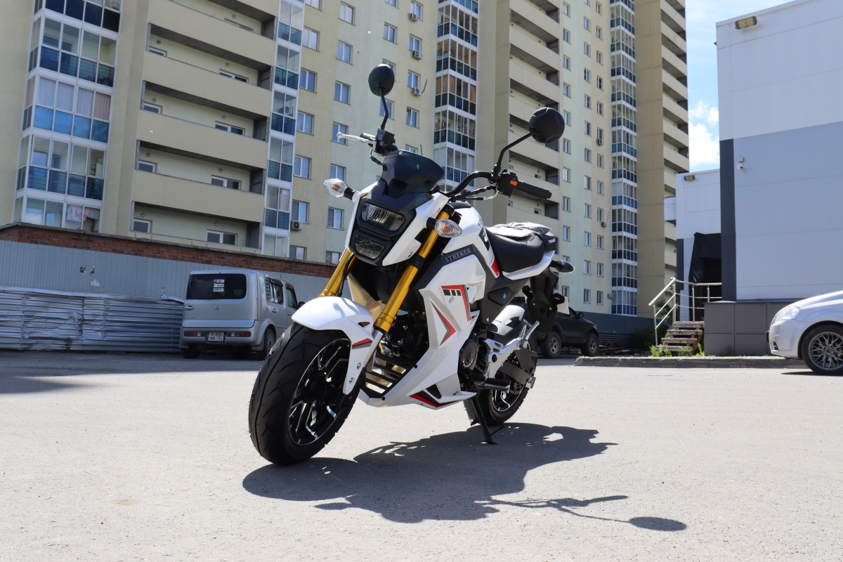 Мотоцикл PROMAX STRYKER 200(49) 2.0 в Новочеркасске