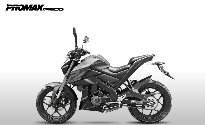 Мотоцикл PROMAX MT300 в Новочеркасске