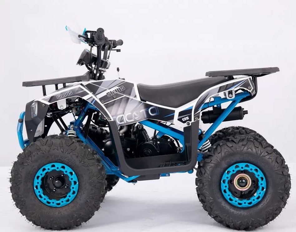 Квадроцикл YACOTA SIRIUS 110 в Новочеркасске