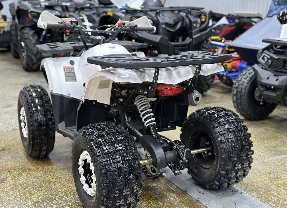 Квадроцикл PROMAX WILD 2.0 190 в Новочеркасске