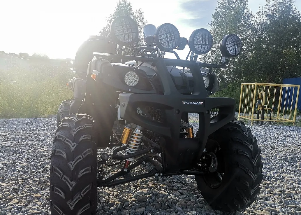 Квадроцикл PROMAX LEO 300 Max (кардан) в Новочеркасске