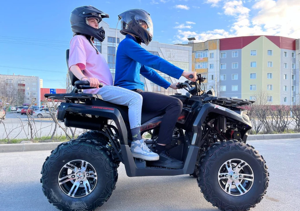 Квадроцикл PROMAX RENEGADE 300 LONG WINCH PRO (2025) в Новочеркасске