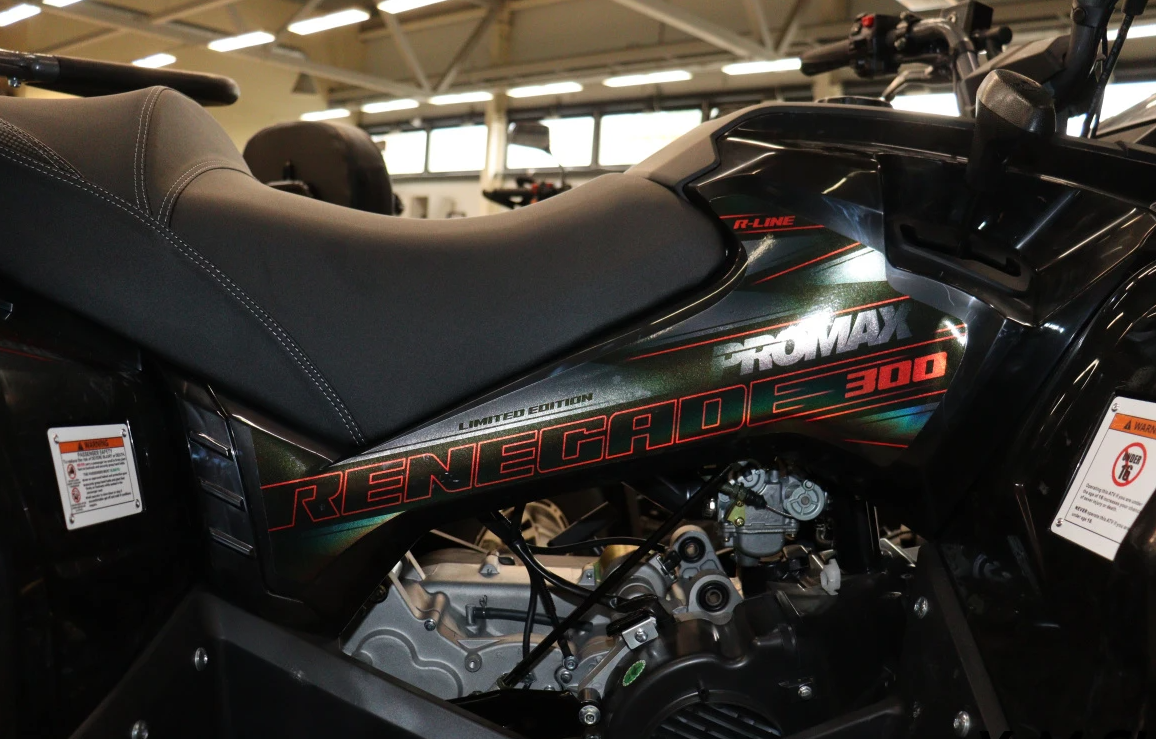Квадроцикл PROMAX RENEGADE 300 LONG WINCH PRO (2025) в Новочеркасске
