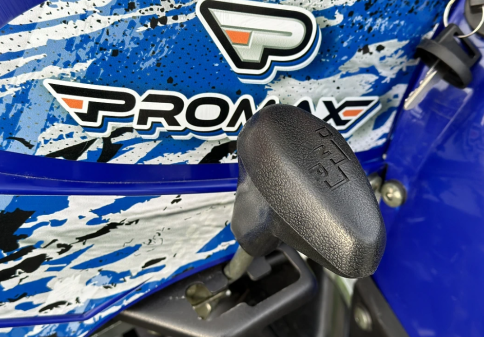  Квадроцикл PROMAX ATV 250 MAX (2025) в Новочеркасске