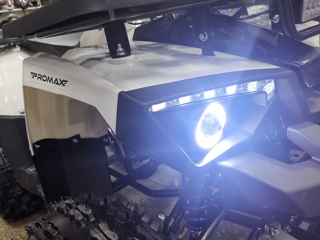 Квадроцикл PROMAX WILD 175 LUX в Новочеркасске
