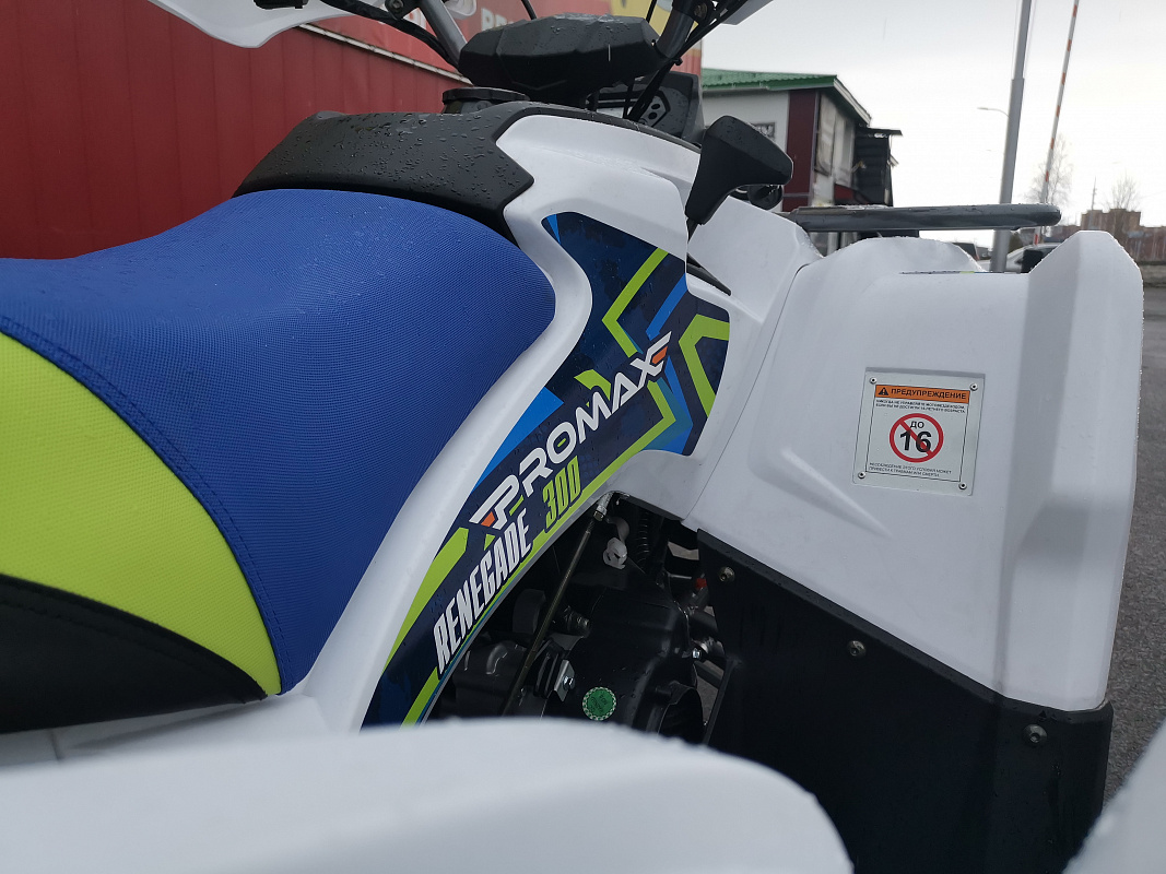 Квадроцикл PROMAX RENEGADE 280 LUX (2025) в Новочеркасске
