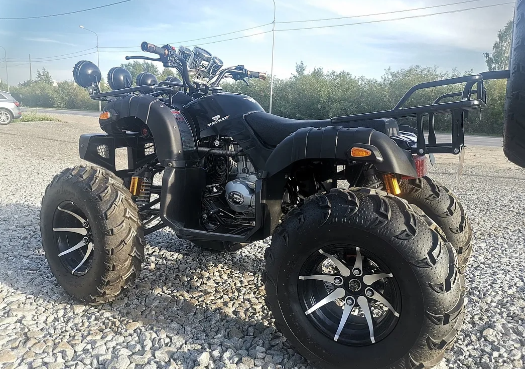 Квадроцикл PROMAX LEO 300 Max (кардан) в Новочеркасске