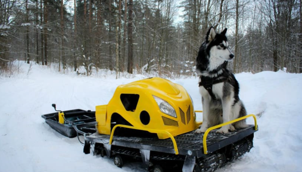 Мотобуксировщик LEBEDEV MOTORS ВОЛКОДАВ POWER V13 в Новочеркасске