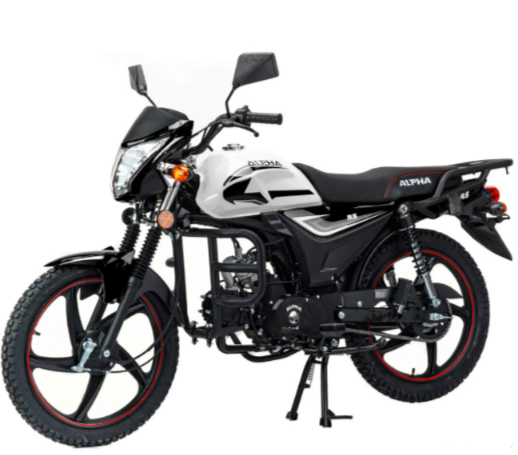 Мопед MOTOLAND (МОТОЛЕНД) Альфа RS 11 (LM48-B) в Новочеркасске