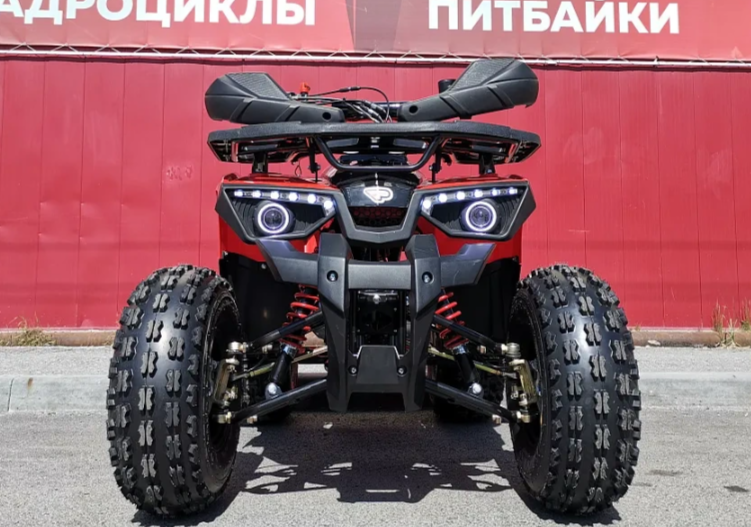 Квадроцикл PROMAX WILD 175 BASIC в Новочеркасске