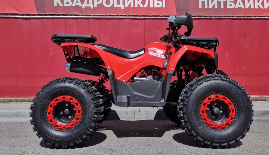 Квадроцикл PROMAX WILD 175 BASIC в Новочеркасске