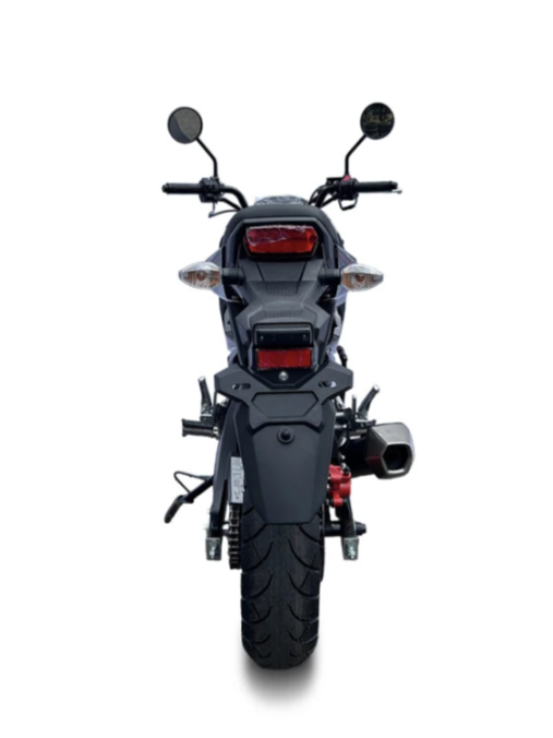 Мотоцикл PROMAX STRYKER 200(49) в Новочеркасске