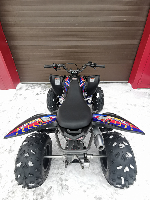 Квадроцикл PROMAX RAPTOR 300 NEW RedBull в Новочеркасске