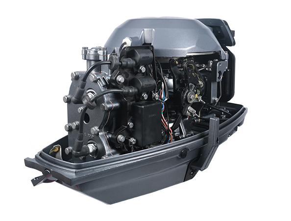 ЛОДОЧНЫЙ МОТОР ALLFA CG T30 FW S в Новочеркасске