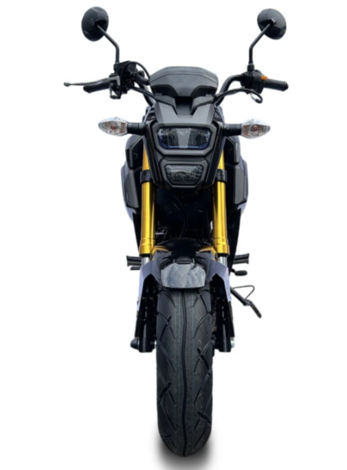 Мотоцикл PROMAX STRYKER 200(49) в Новочеркасске