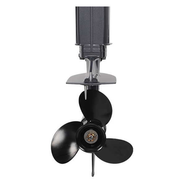 ЛОДОЧНЫЙ МОТОР ALLFA CG T30 FW S в Новочеркасске