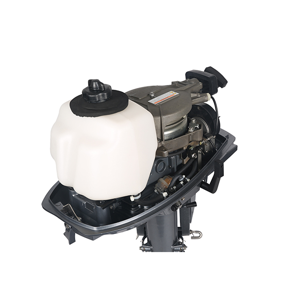 ЛОДОЧНЫЙ МОТОР ALLFA CG T5 в Новочеркасске