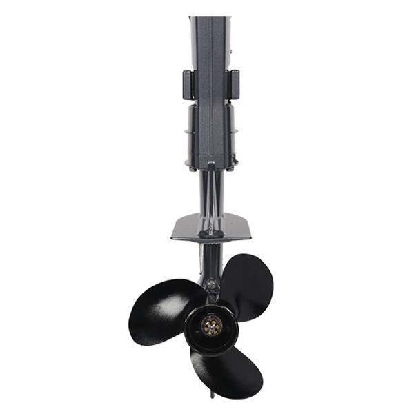 ЛОДОЧНЫЙ МОТОР ALLFA CG T5 в Новочеркасске