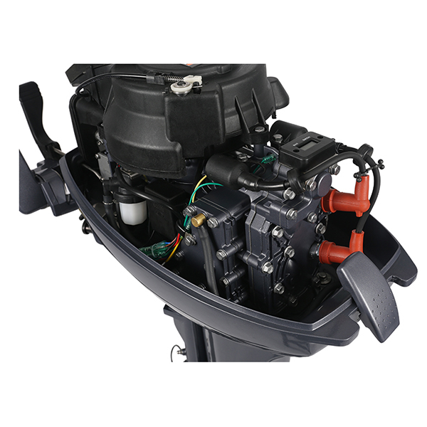 ЛОДОЧНЫЙ МОТОР ALLFA CG Т9,9 Limit в Новочеркасске