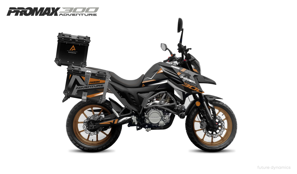 Мотоцикл PROMAX ADVENTURE 300 PRO EFI (NB300) в Новочеркасске