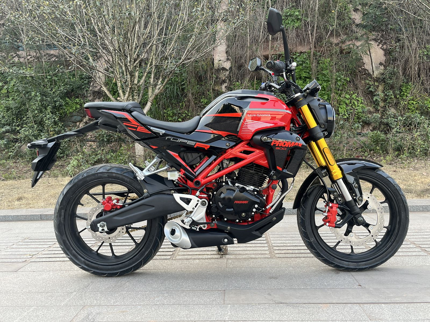 Мотоцикл PROMAX CB300 в Новочеркасске