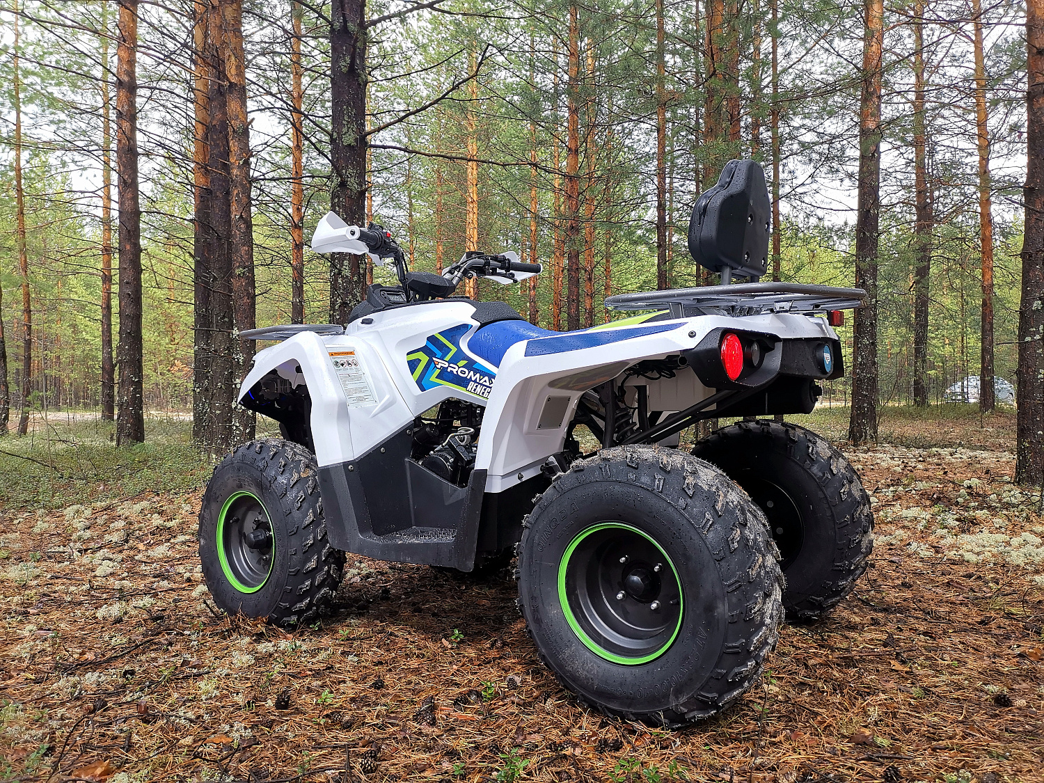 Квадроцикл PROMAX RENEGADE 280 (2025) в Новочеркасске
