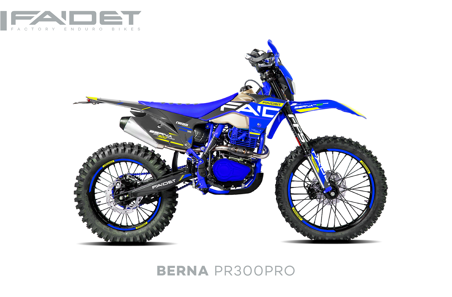 Кроссовый мотоцикл FAIDET BERNA PR300-PRO FPS в Новочеркасске